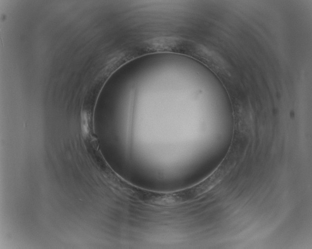 X0000073490075200608071008