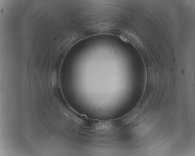 X0000073490077200608071008