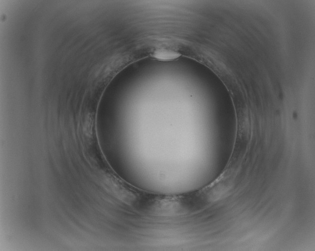 X0000073490078200608071008