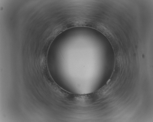 X0000073490079200608071008