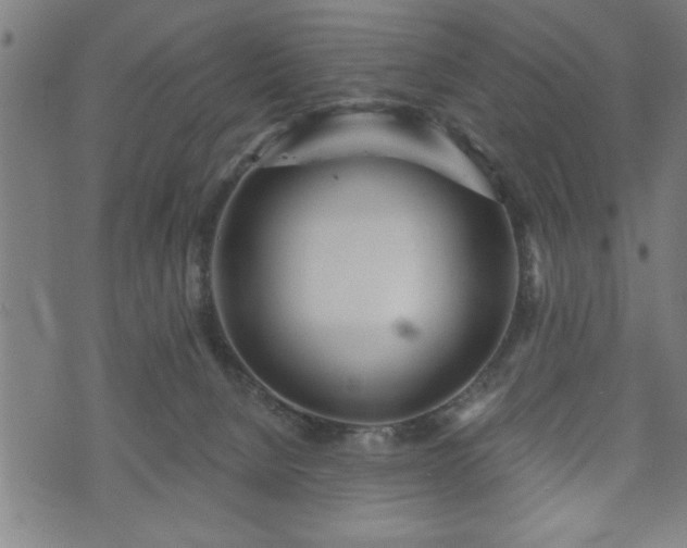 X0000073490080200608071008