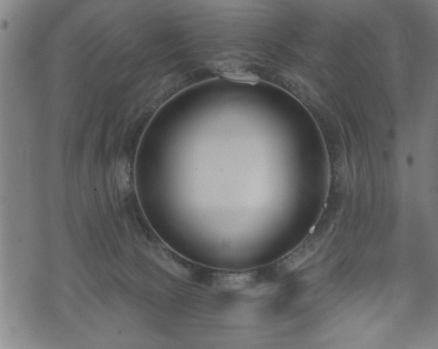 X0000073490081200608071008