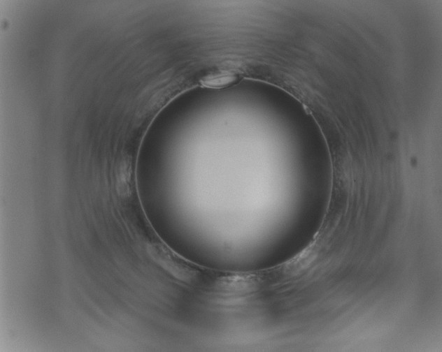 X0000073490082200608071008