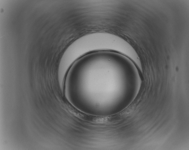 X0000073490084200608071008