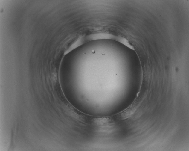 X0000073490085200608071008