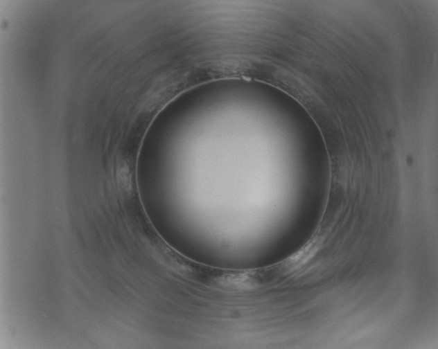 X0000073490086200608071008