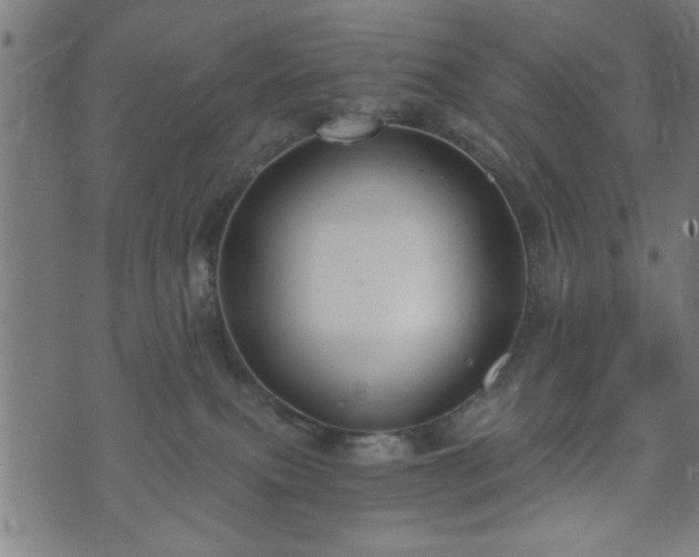 X0000073490087200608071008