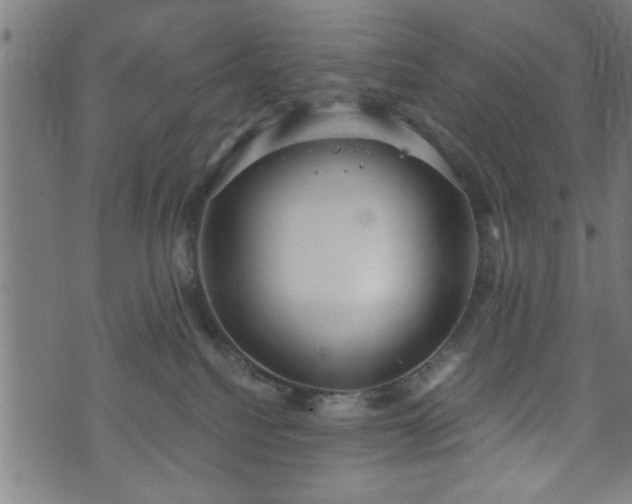 X0000073490088200608071008