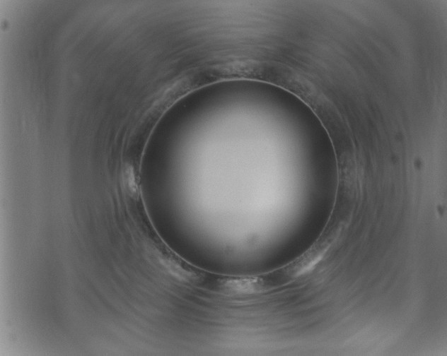 X0000073490089200608071008