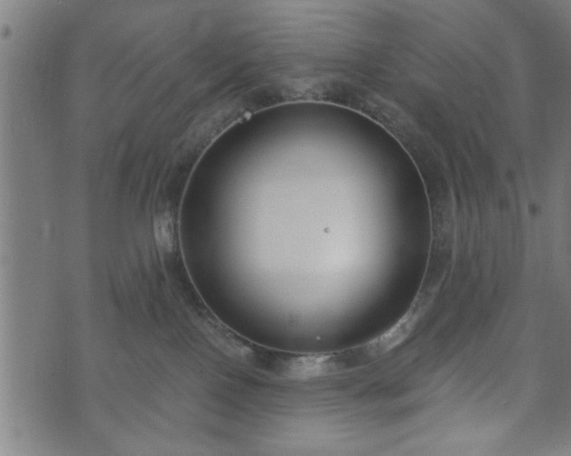 X0000073490090200608071008