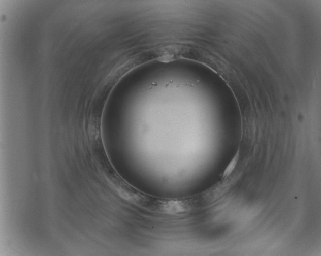 X0000073490091200608071008