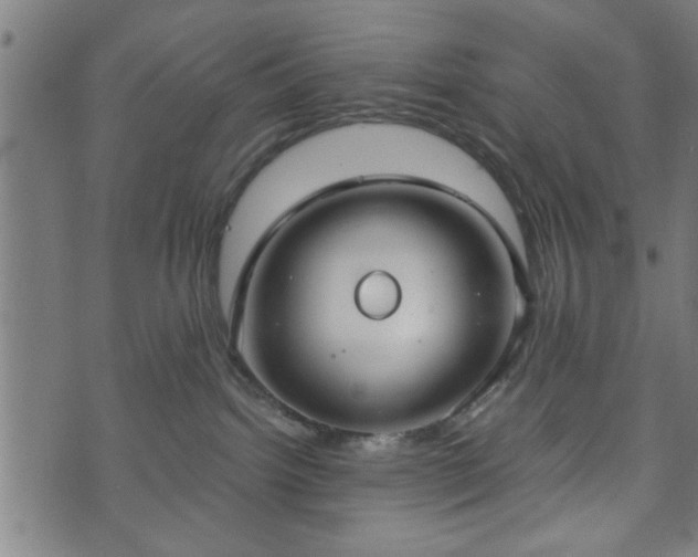 X0000073490092200608071008