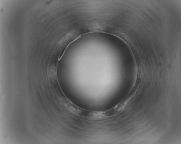 X0000073490093200608071008