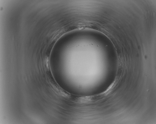 X0000073490094200608071008