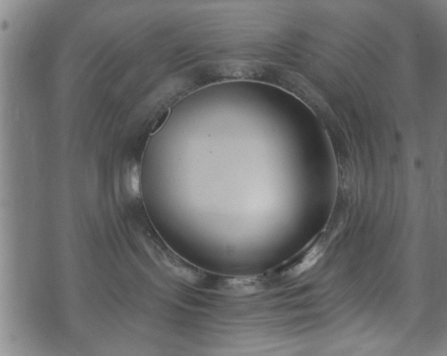 X0000073490095200608071008