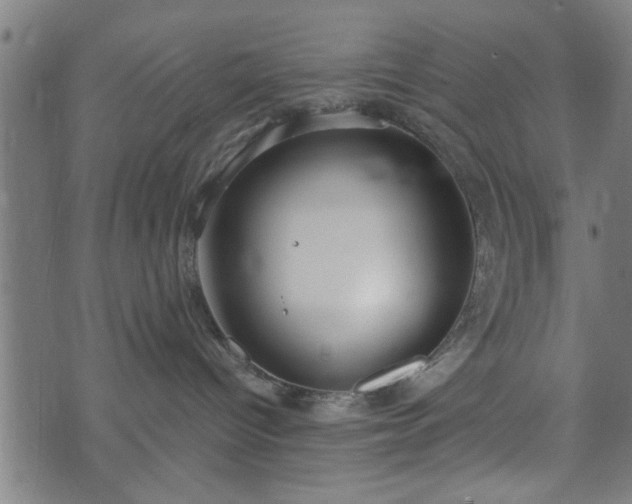 X0000073490096200608071008