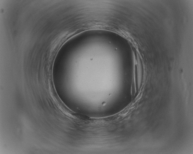 X0000073490097200608071007