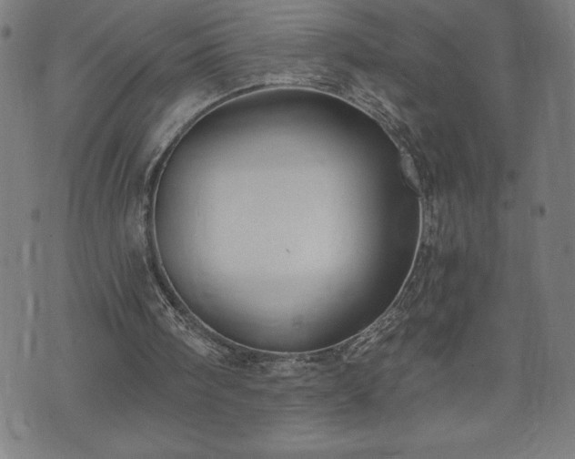 X0000073490098200608071007