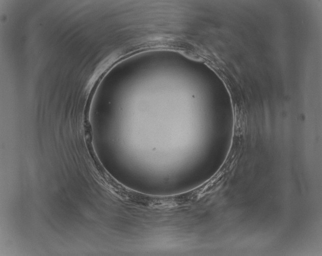 X0000073490099200608071007