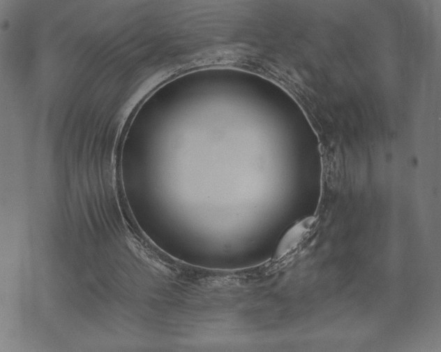 X0000073490100200608071007