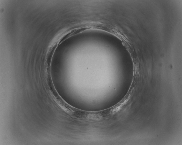 X0000073490101200608071007