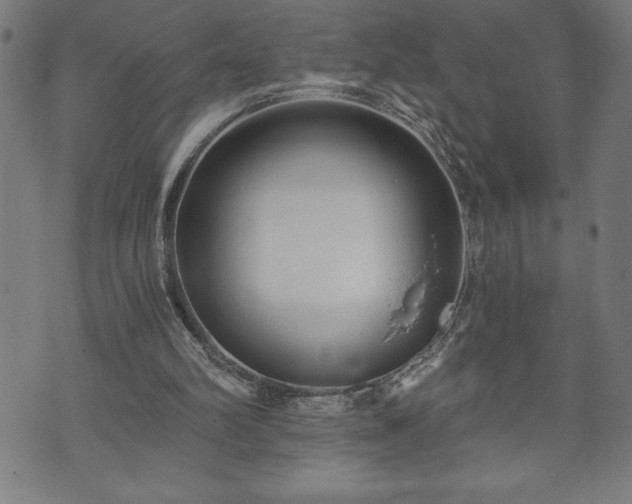 X0000073490102200608071007