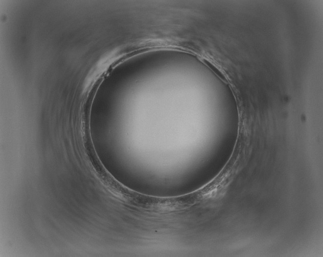 X0000073490103200608071007