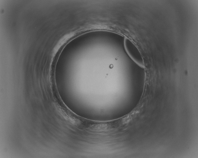 X0000073490104200608071007