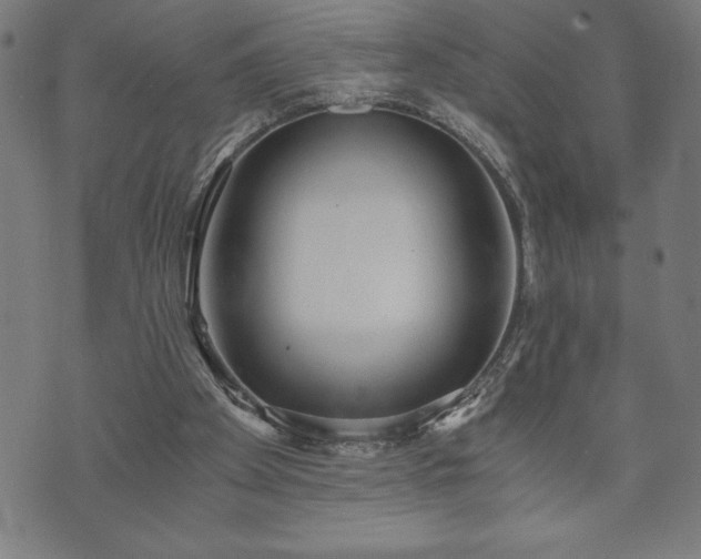 X0000073490105200608071007