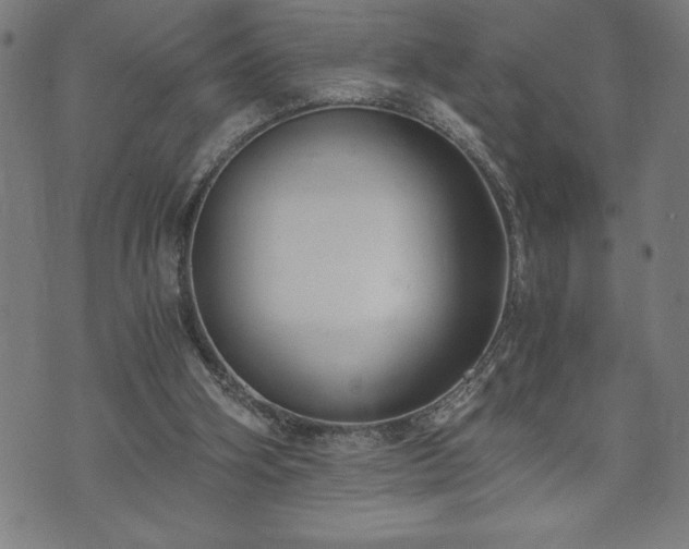 X0000073490106200608071007