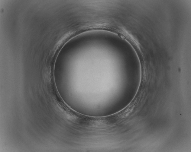 X0000073490107200608071007