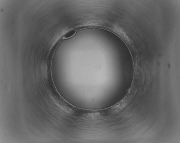 X0000073490108200608071007