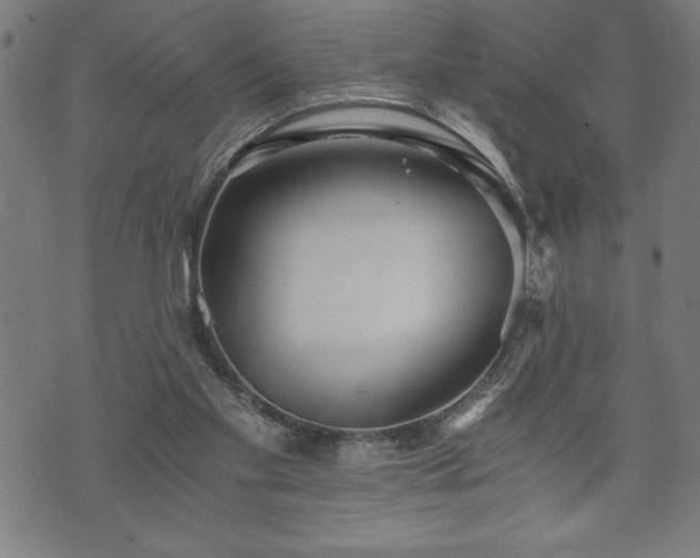 X0000073490109200608071007