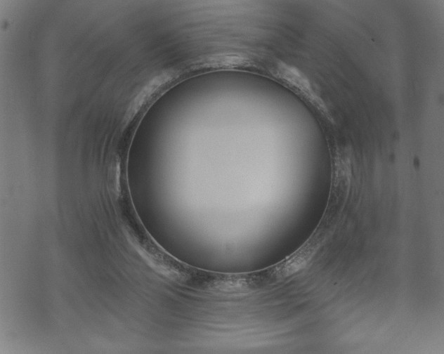 X0000073490110200608071007