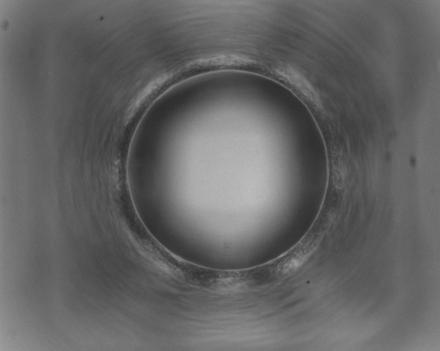 X0000073490111200608071007