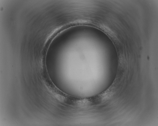 X0000073490112200608071007