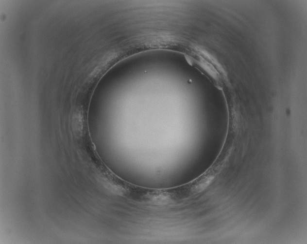 X0000073490113200608071007