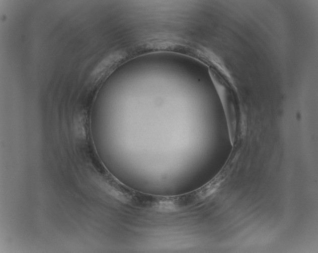 X0000073490114200608071007