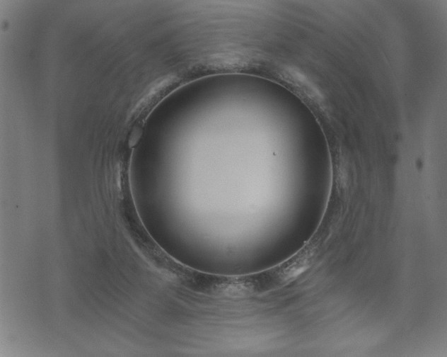 X0000073490115200608071007