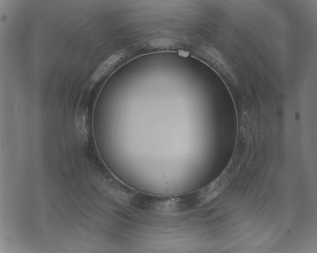 X0000073490116200608071007