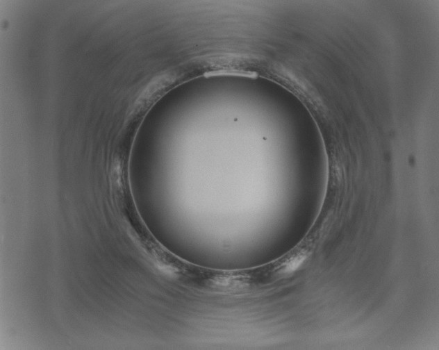 X0000073490117200608071007