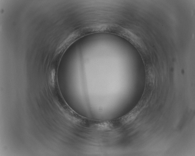 X0000073490118200608071007