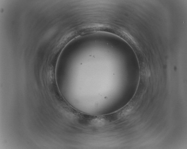 X0000073490119200608071007