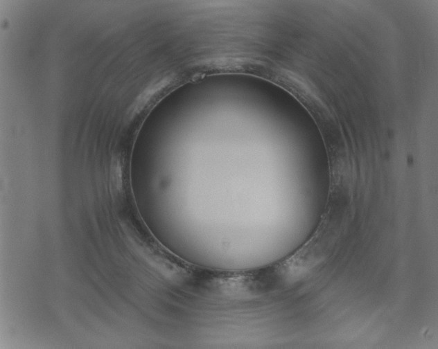 X0000073490120200608071007