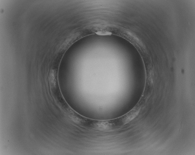 X0000073490121200608071007