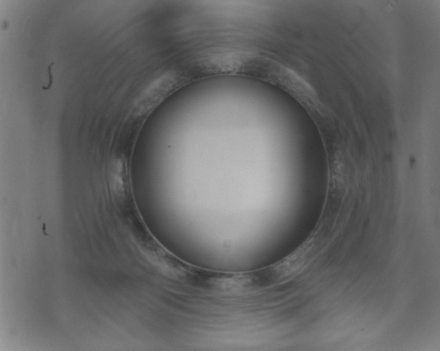 X0000073490122200608071007