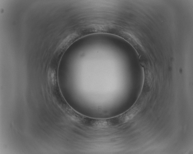 X0000073490123200608071007