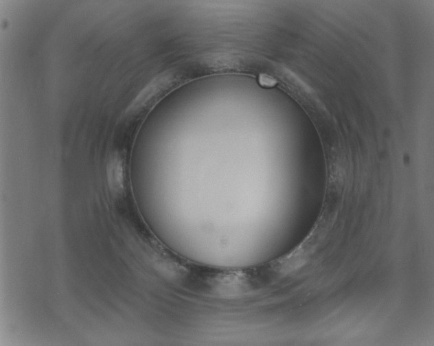 X0000073490124200608071007