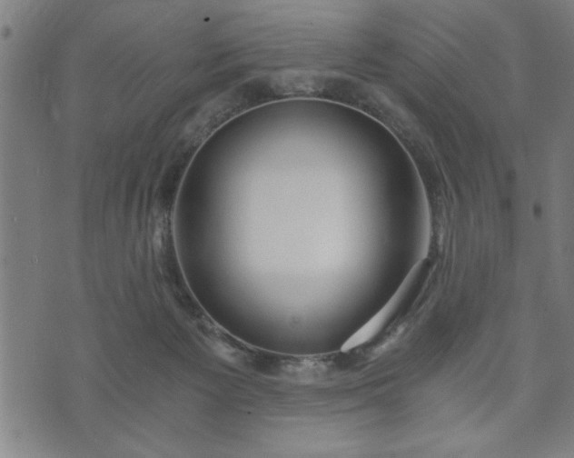 X0000073490125200608071007