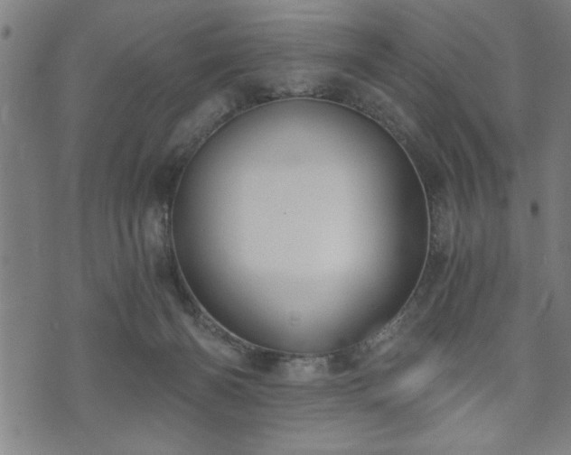 X0000073490126200608071007